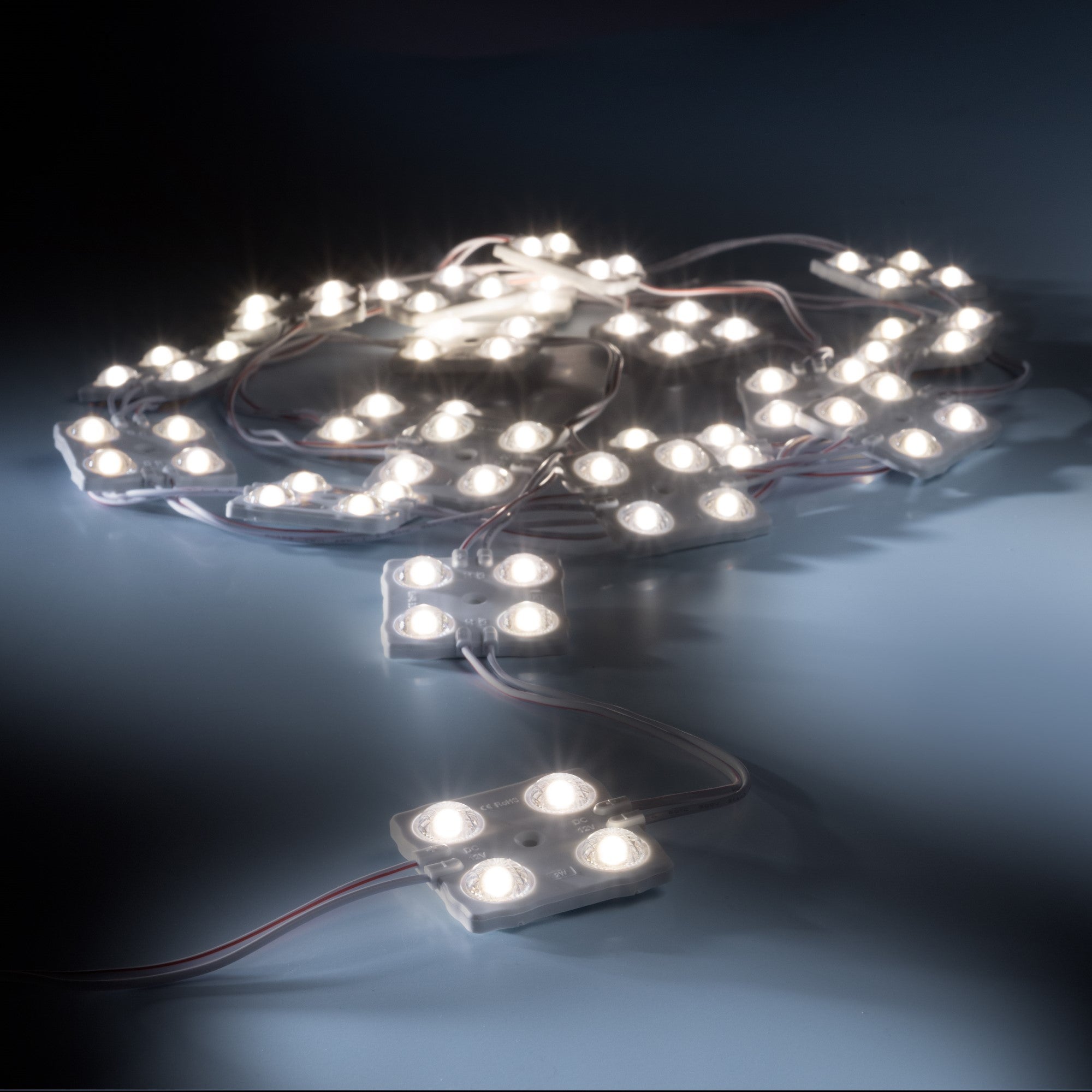 leds.de Waterproof LED modules 4 LEDs 12V IP67 20 pieces 5000K