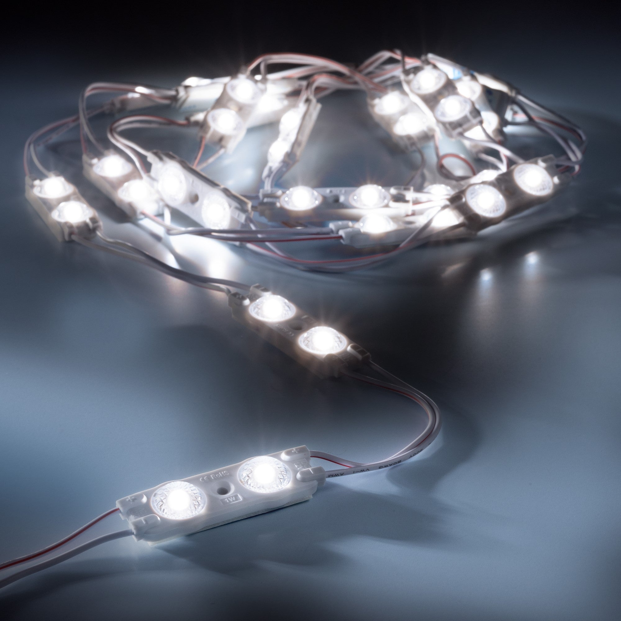 leds.de Waterproof LED modules 2 LEDs 12V IP67 20 pieces 5000K
