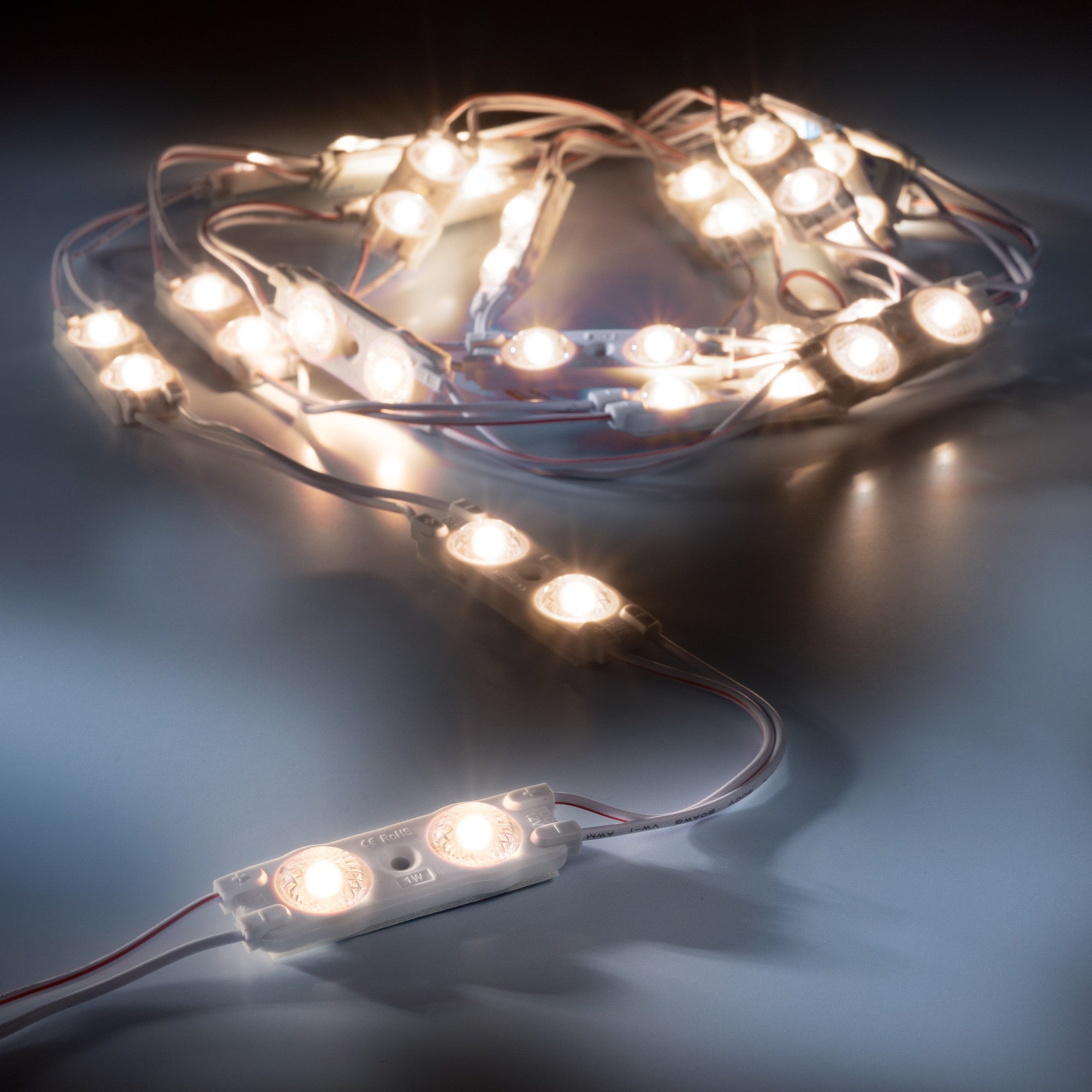 leds.de Waterproof LED modules 2 LEDs 12V IP67 20 pieces 2700 - 3000K