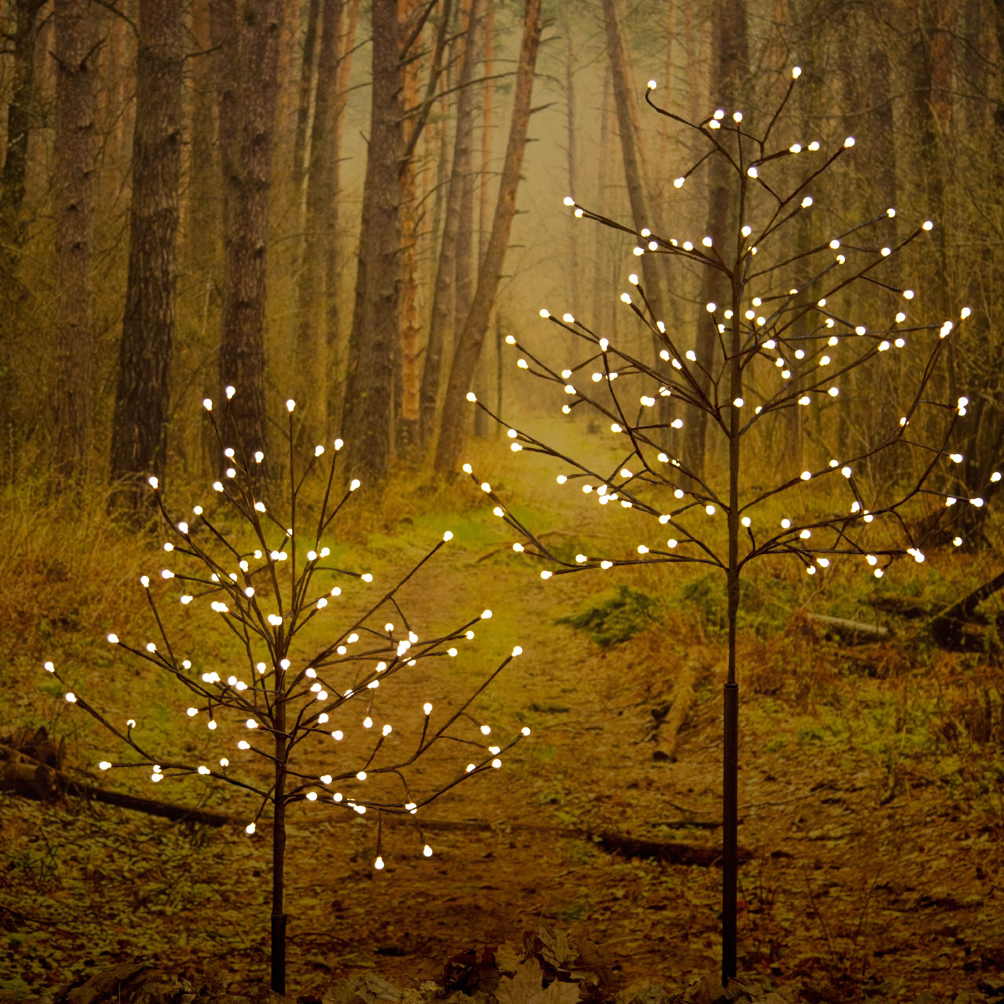 LED light tree, 240 warmwhite LEDs