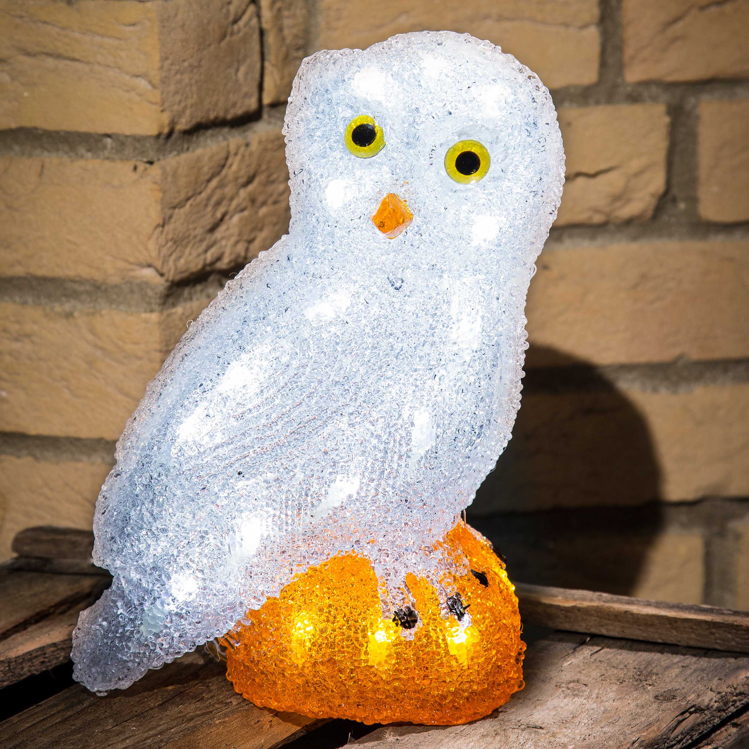 Acrylic LED owl, 32 coldwhite LEDs