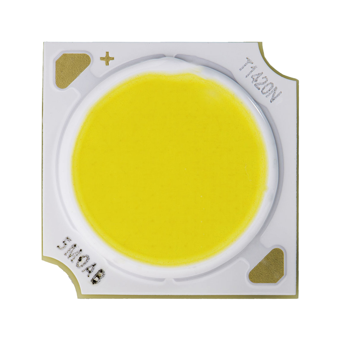 CREE CMT1420 LED CMT1420-0000-000N0B0A30E White Bin 30E 3000K 5-Step Ellipse Flux Bin 0A (Pack size: 100 LEDs)