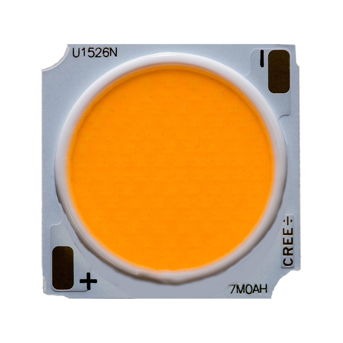 CREE CMU1526-36V LED CMU1526-0000-000N0B0A30E Warm White 5-Step Ellipse 3000K CRI73 4370lm 
