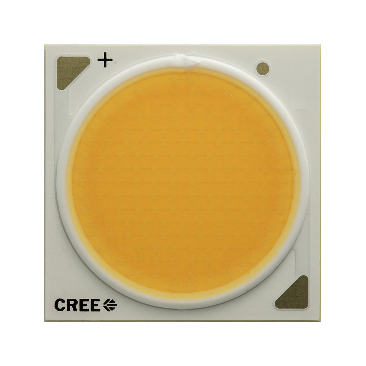 CREE CXB305036V LED CXB3050-0000-000N0BY465E Cold White 5-Step Ellipse 6500K CRI70 7648lm