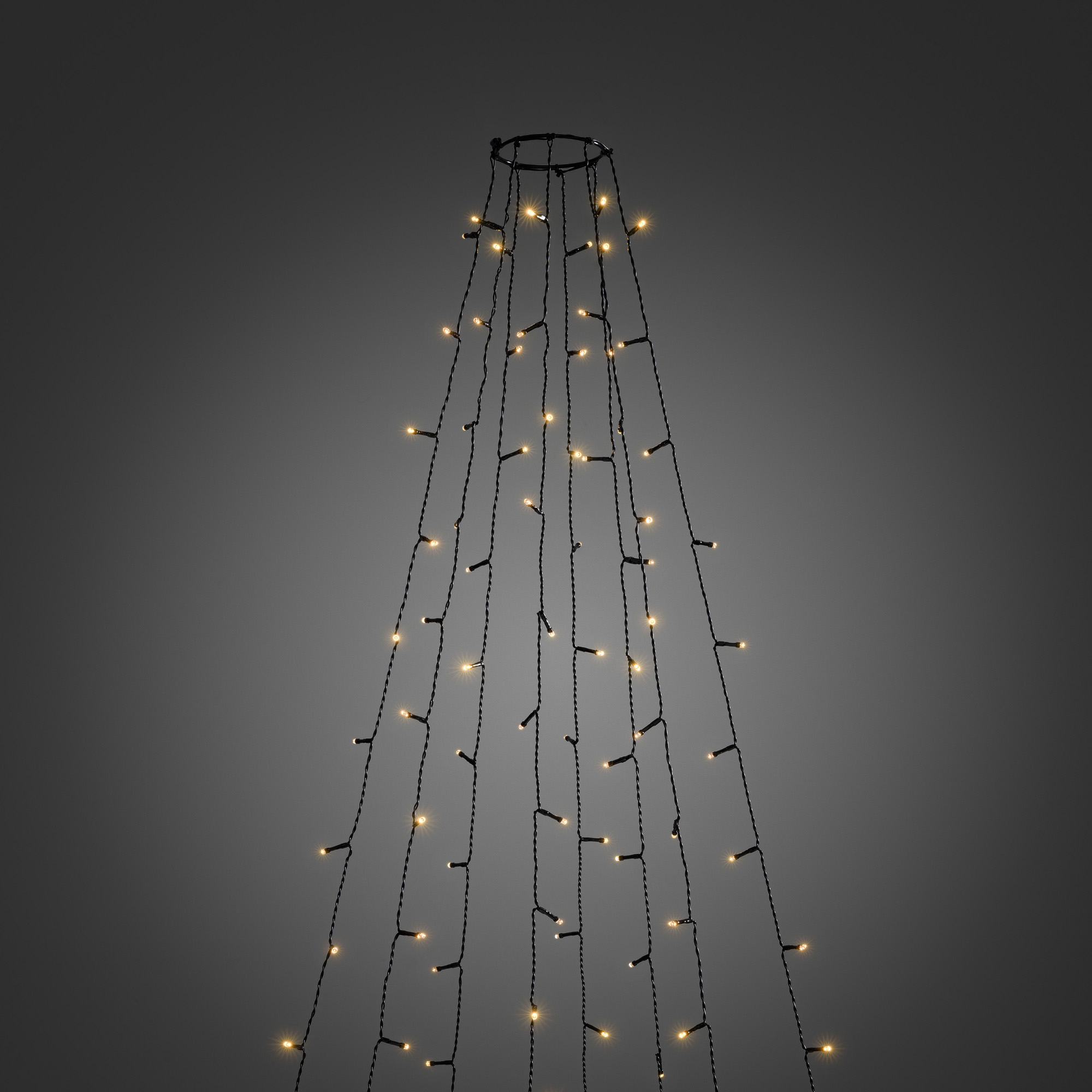 LED Tree Coat amber, 8 strings of 5.6m (70LEDs each), with multifunction, app-controlled