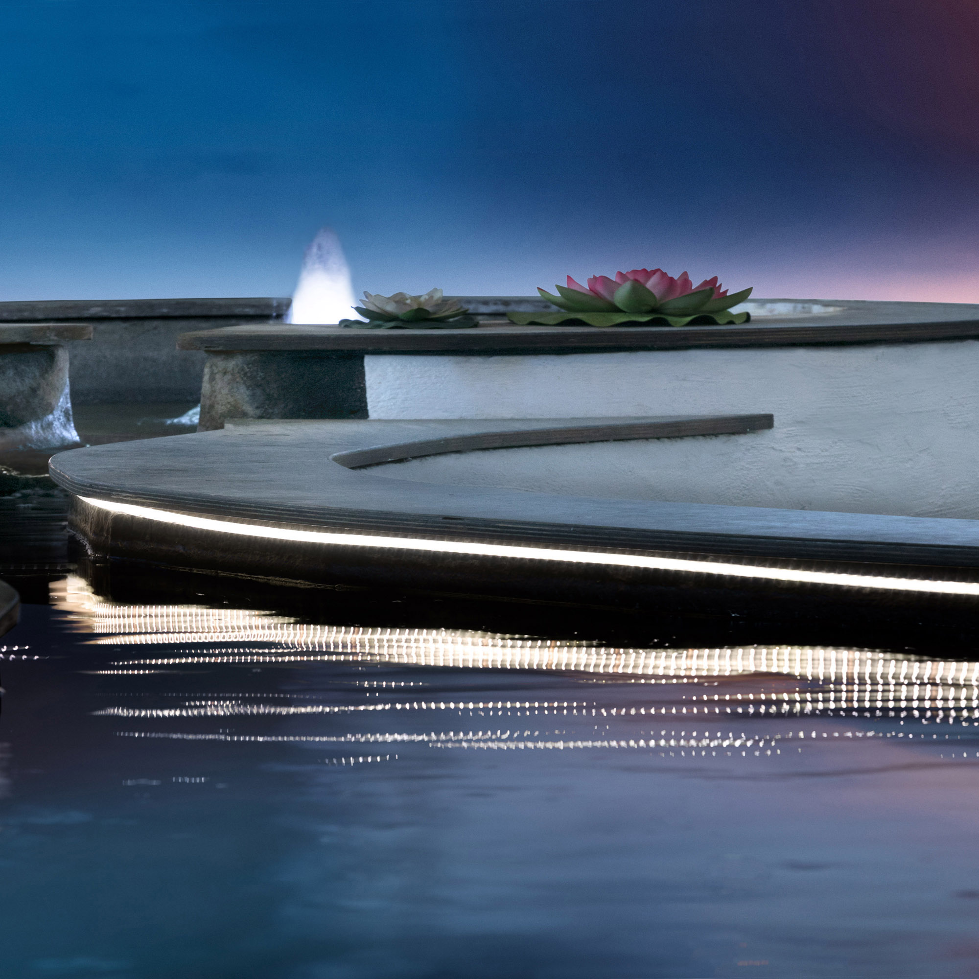 Ledrise - High Performance Led Lighting Premium POSEIDON Flexible LED ...