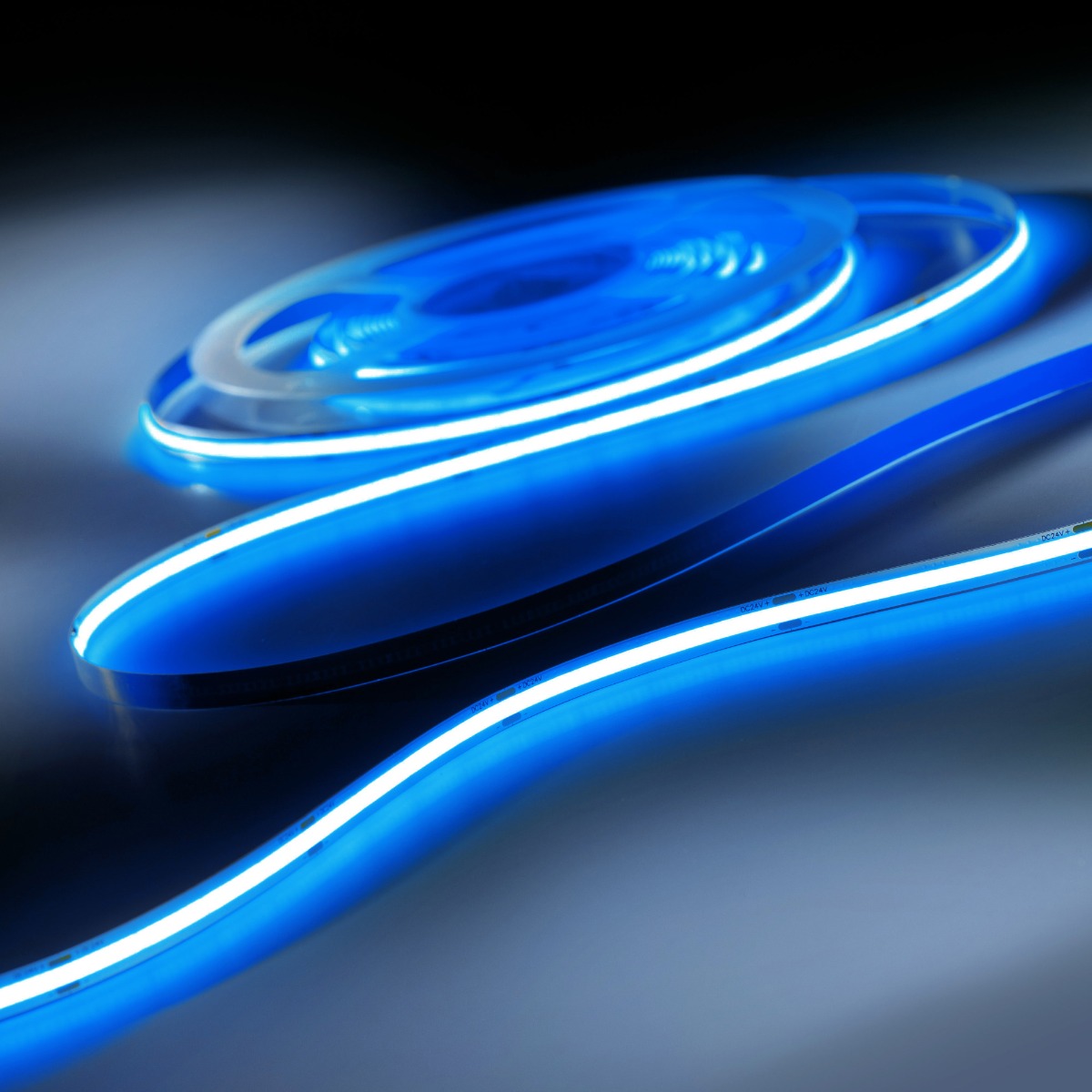 LumiFlex COB LED Strip with continuous light Blue 590lm 24V 5m roll (118lm/m and 6.68W/m)