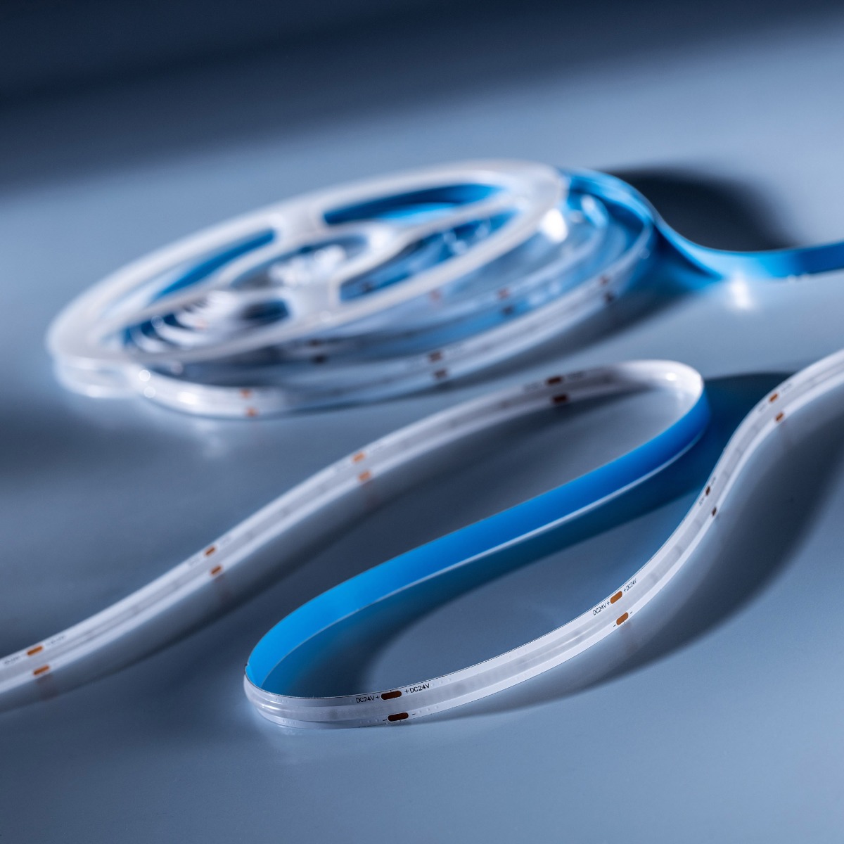 LumiFlex COB LED Strip with continuous light Blue 590lm 24V 5m roll (118lm/m and 6.68W/m)
