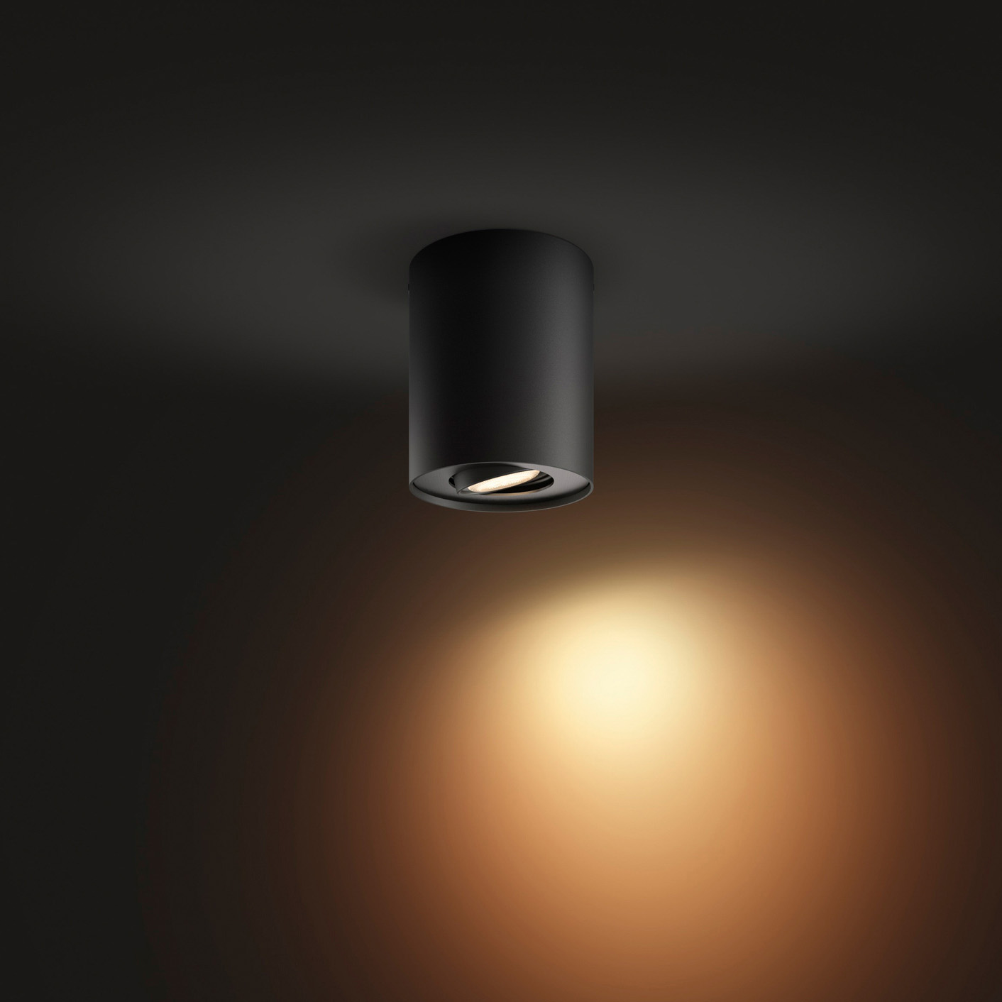 Philips Hue White Ambiance Pillar LED Spot Light black 350lm incl. Dimmer Switch