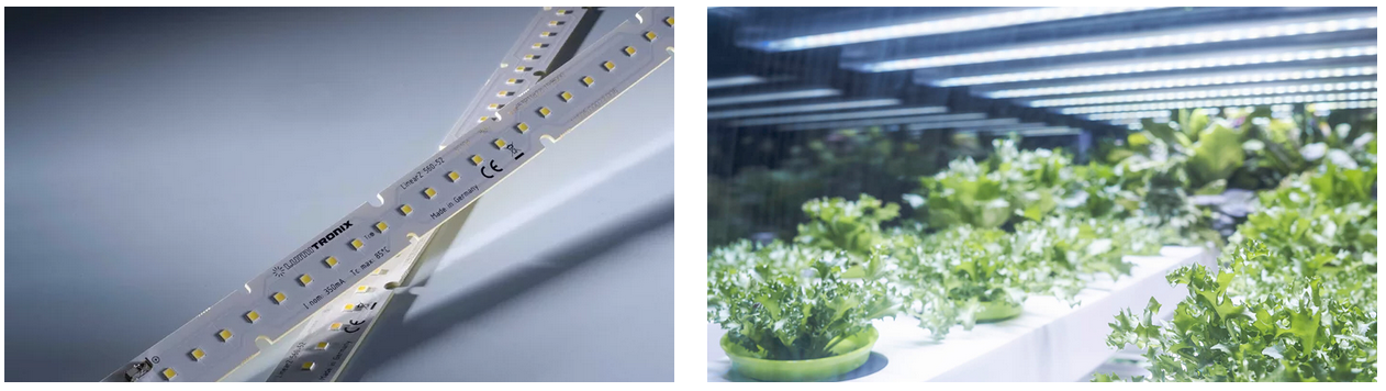 LinearZ LED Modules for horticulture