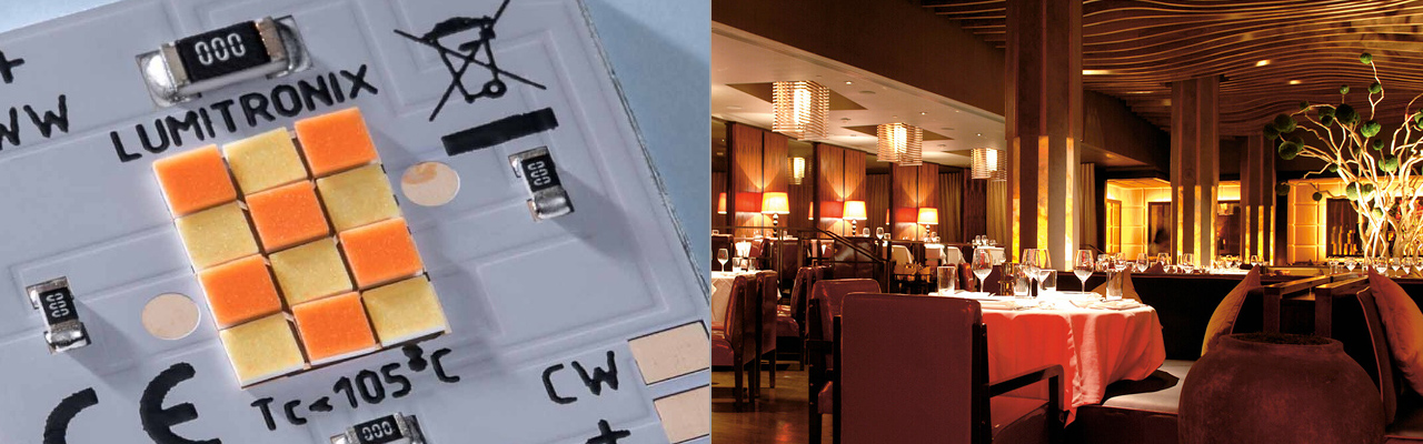 2 Channel Tunable White LED Modules or Strips