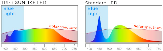 Blue light: difference between SunLike Tri-R LED and Standard